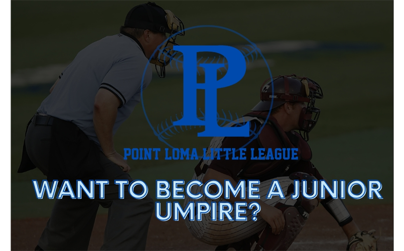 Junior Umpire Info